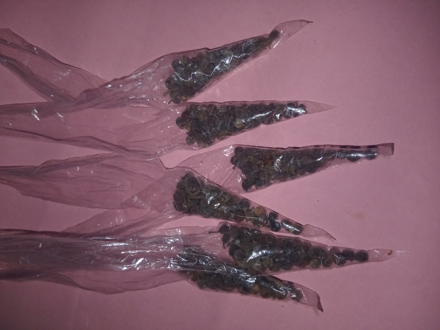 Uziza Seed