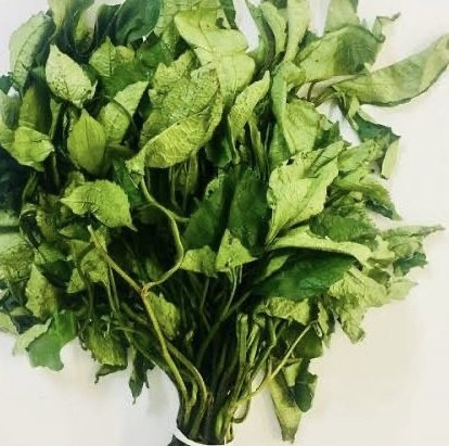 Ugu leaves (Fluted Pumpkin)