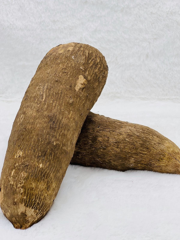 Yam