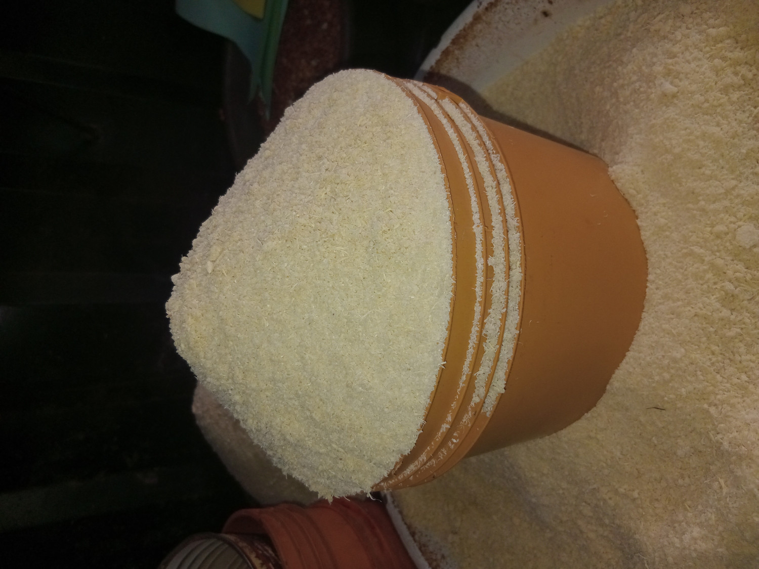 Garri - Painter (Yellow)